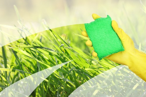 Professional carpet cleaning service for Bayswater homes and businesses