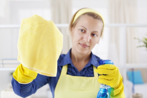 End of tenancy cleaning in a Bayswater apartment kitchen