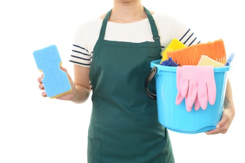 Regular cleaning service in a Bayswater home with a tidy living area