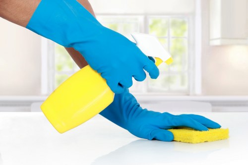 Cookie policy illustration for Bayswater Cleaners website