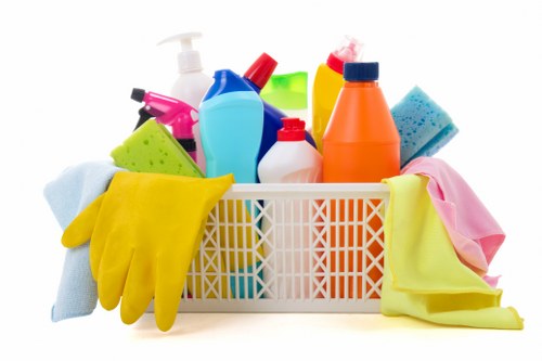 Bayswater technician treating lingering pet smell in a carpeted room