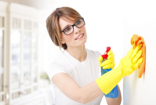 Professional stain removal for carpets in Bayswater homes