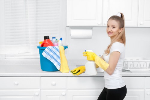 Local Bayswater mattress cleaning for residential and rental properties