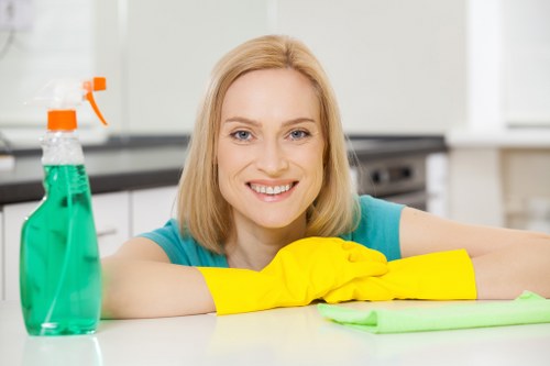 Professional move in cleaning service for a fresh start in Bayswater