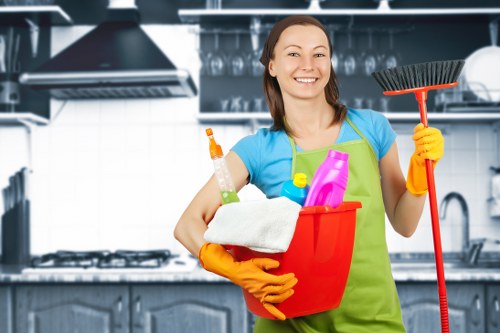 Deep cleaning oven racks and interior surfaces in Bayswater