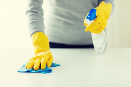 Preparation checklist and carpet cleaning setup in a Bayswater residence
