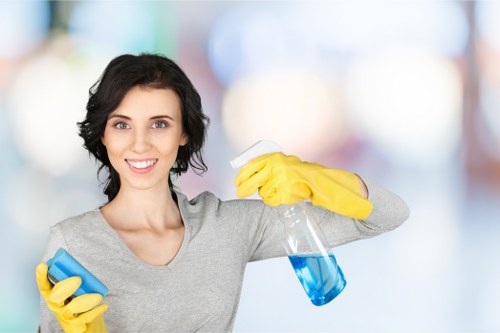 Deep carpet cleaning for a Bayswater apartment or rental property