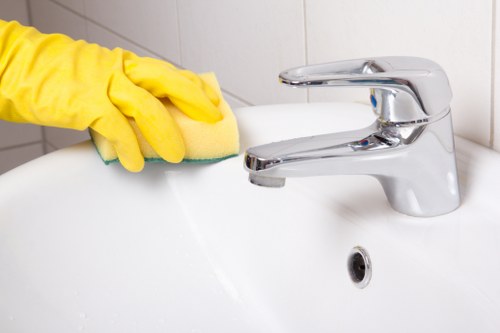 Kitchen and bathroom cleaning tasks included in Bayswater house cleaning