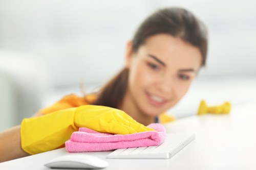 Deep mattress cleaning process for Bayswater customers