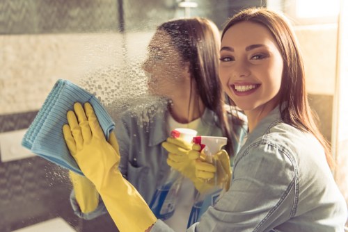 Carpet stain cleaning in a Bayswater apartment or rental