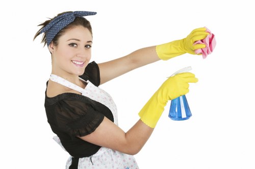 Residential cleaning support by Bayswater Cleaners image