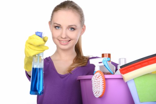 Regular house cleaning service for Bayswater families and rentals