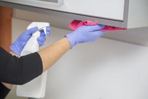 Experienced Bayswater cleaners performing deep cleaning tasks