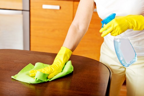 Cleaner treating fabric sofa upholstery in Bayswater with careful on-site service